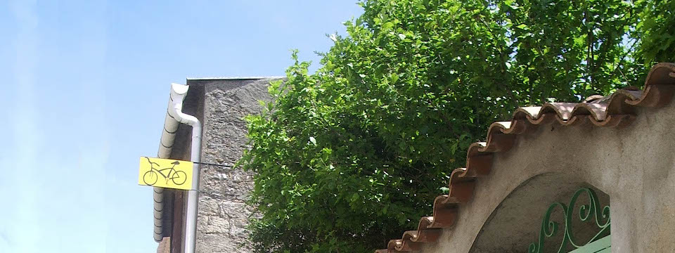 La cité médievale de Carcassonne dans l'Aude